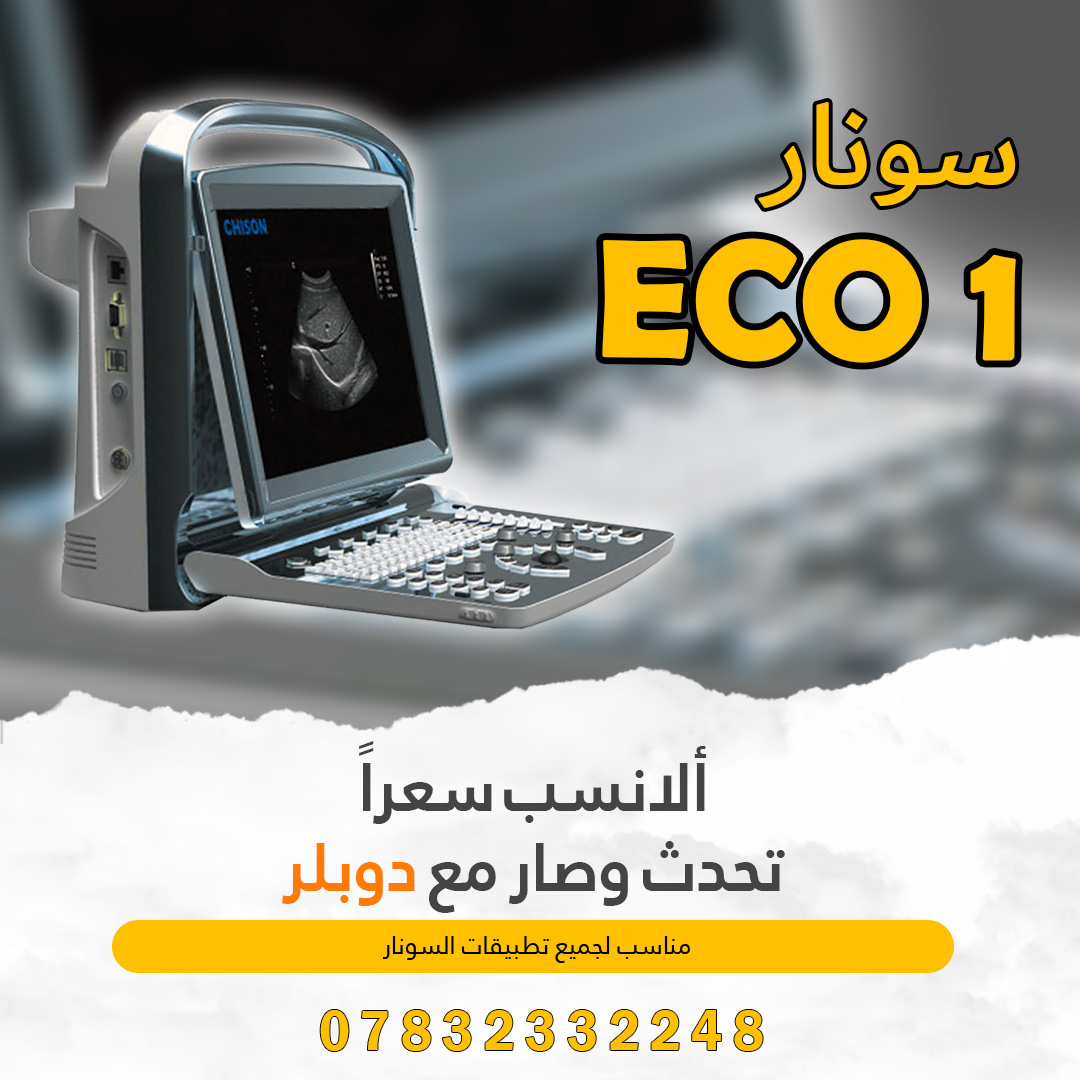 ECO 1